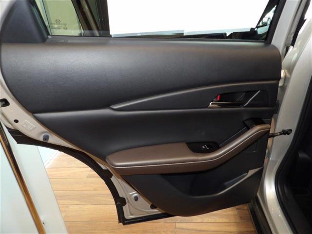 2023 Mazda CX-30 2.5 S Premium photo 20