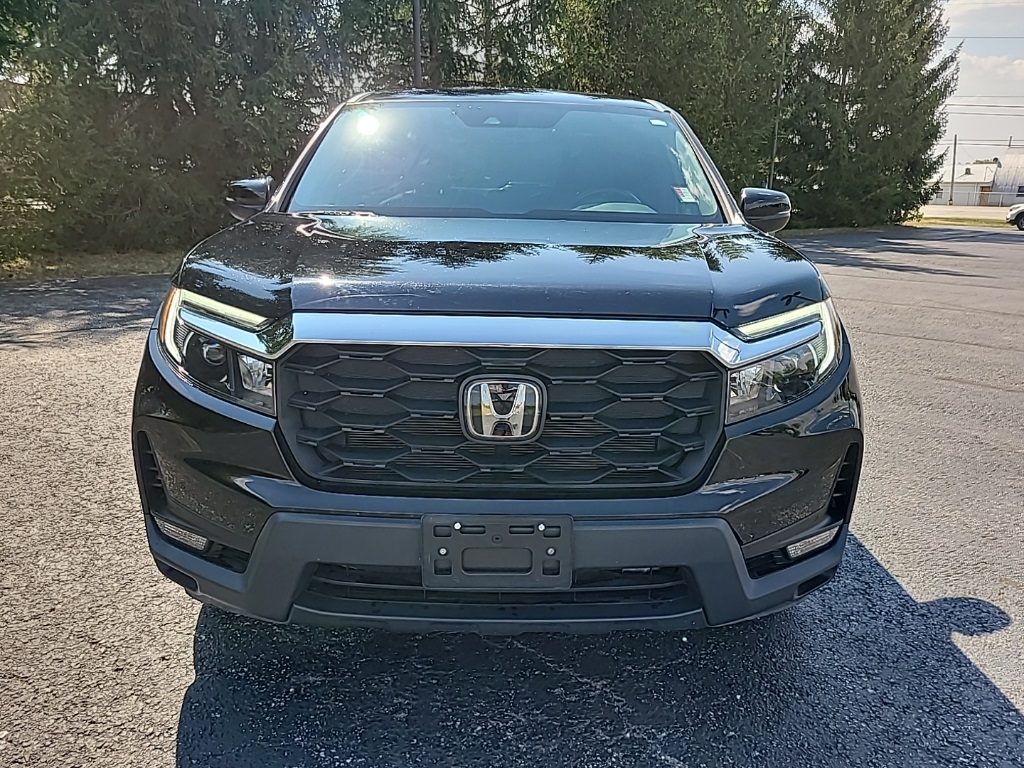 2023 Honda Passport EX-L photo 3
