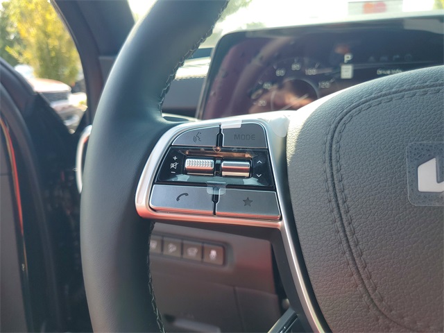 2025 Kia Telluride SX Prestige X-Line photo 16