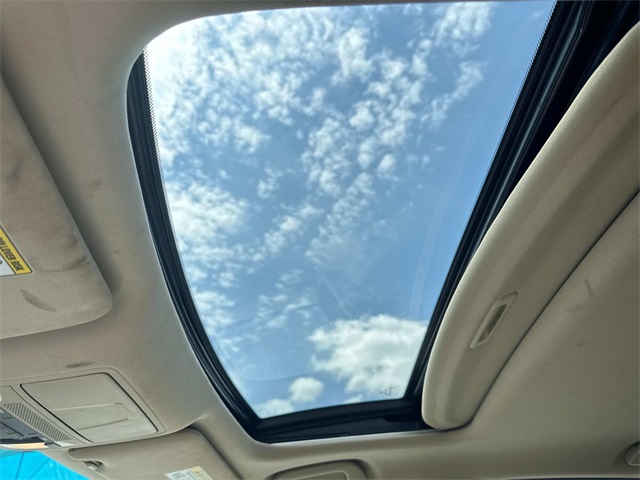 View 31