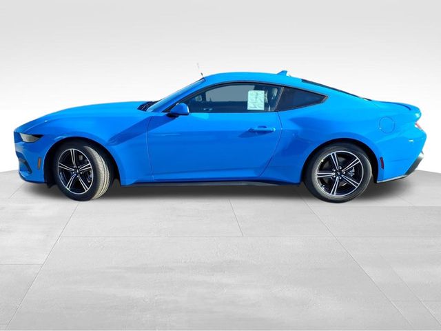 2025 Ford Mustang EcoBoost Premium photo 3