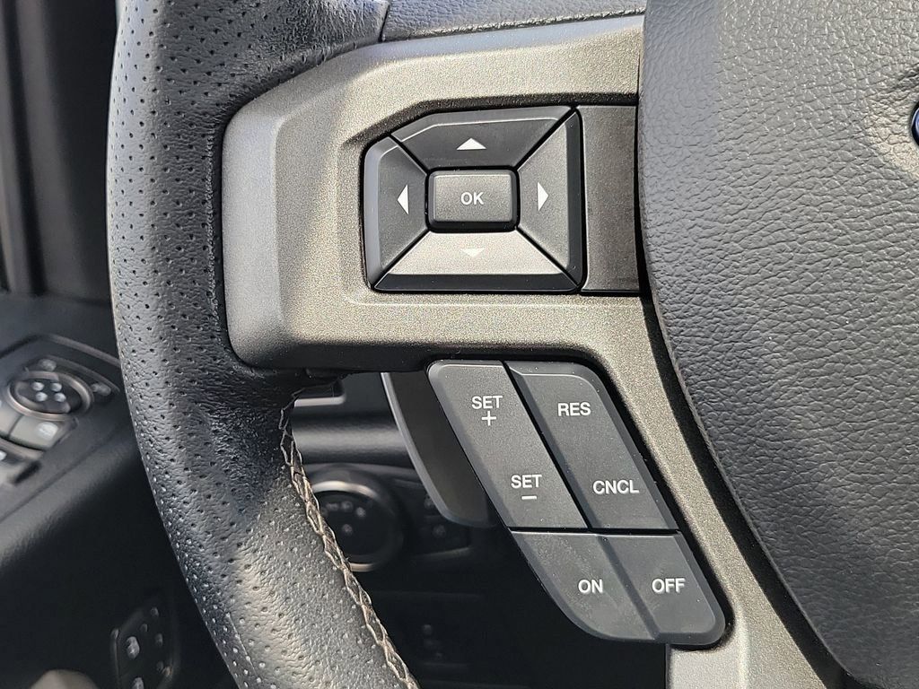 2018 Ford F-150 Raptor photo 13