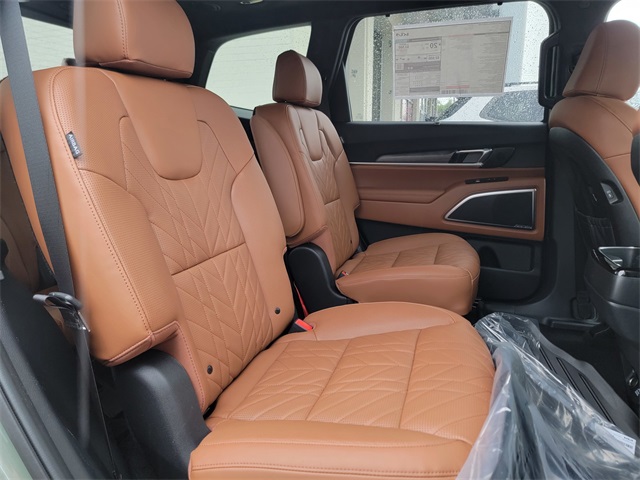2025 Kia Telluride SX Prestige X-Line photo 16