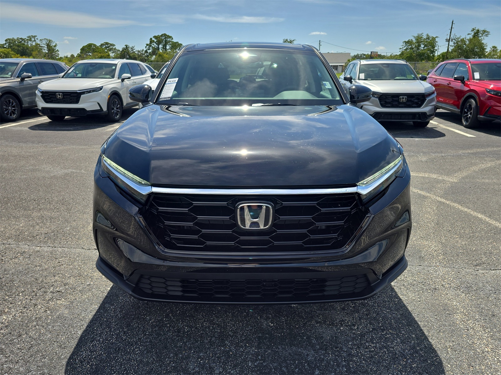 2026 Honda CR-V EX photo 6