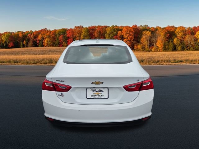 2023 Chevrolet Malibu 1LT photo 4