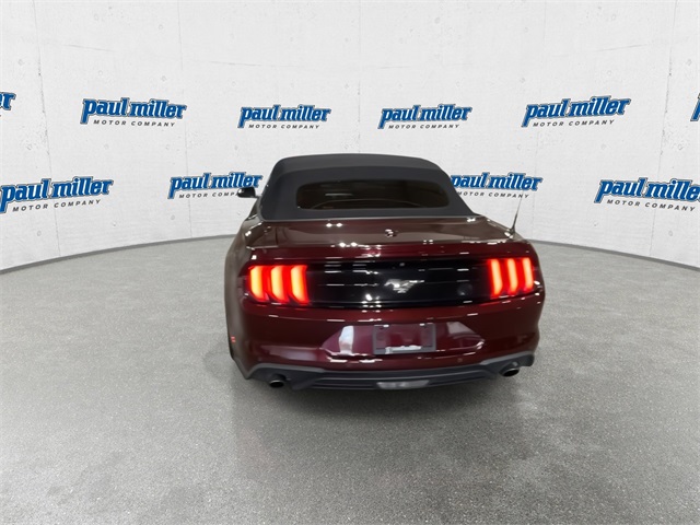 2018 Ford Mustang EcoBoost photo 9