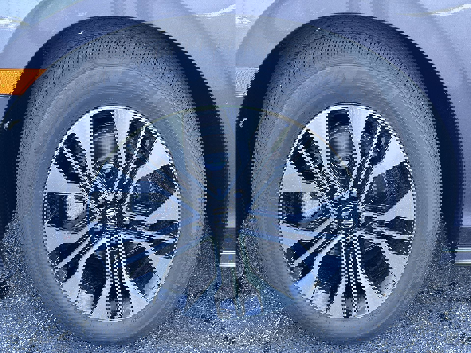 2026 Honda Odyssey Elite photo 10