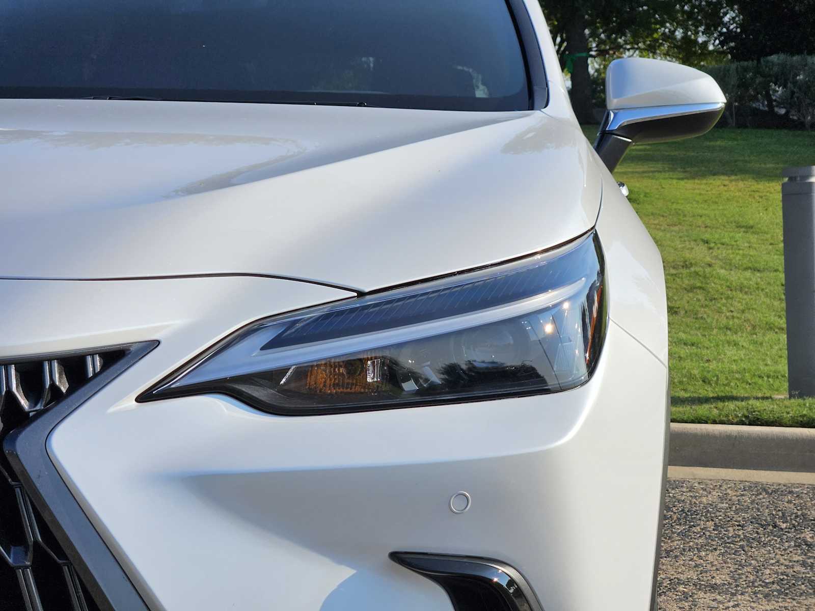 2025 Lexus NX 250 Premium photo 6