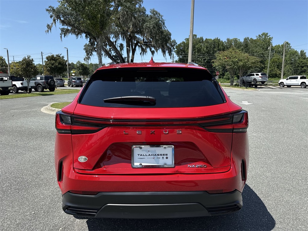 2024 Lexus NX 250 photo 4
