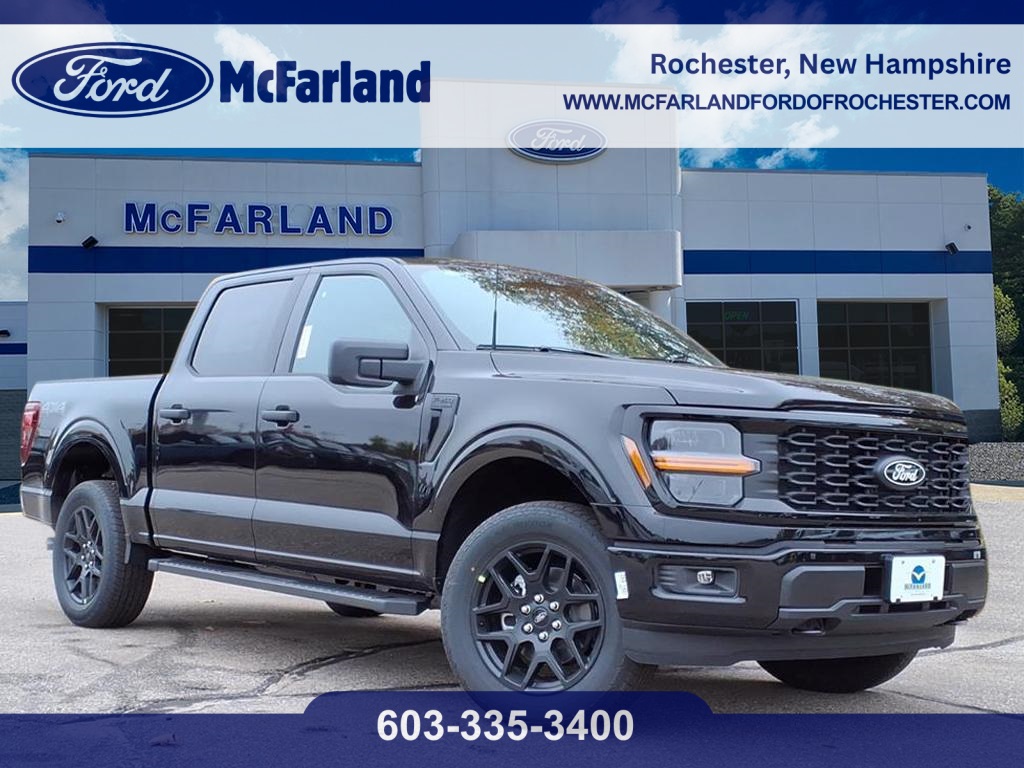 2025 Ford F-150 STX's photo