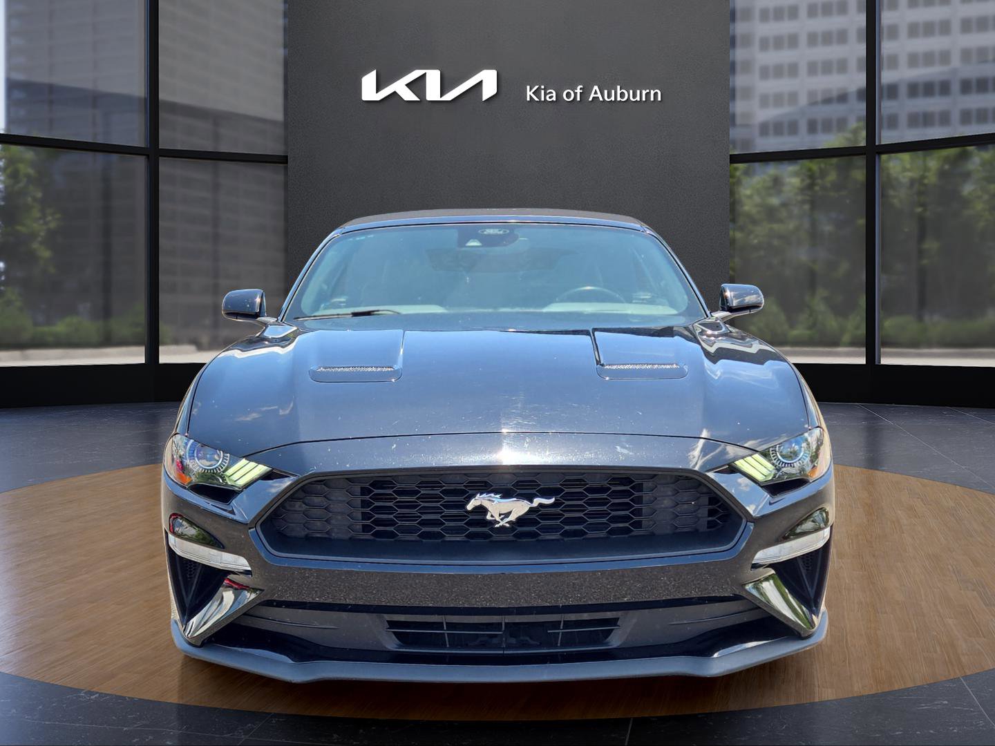 2023 Ford Mustang EcoBoost Premium photo 2