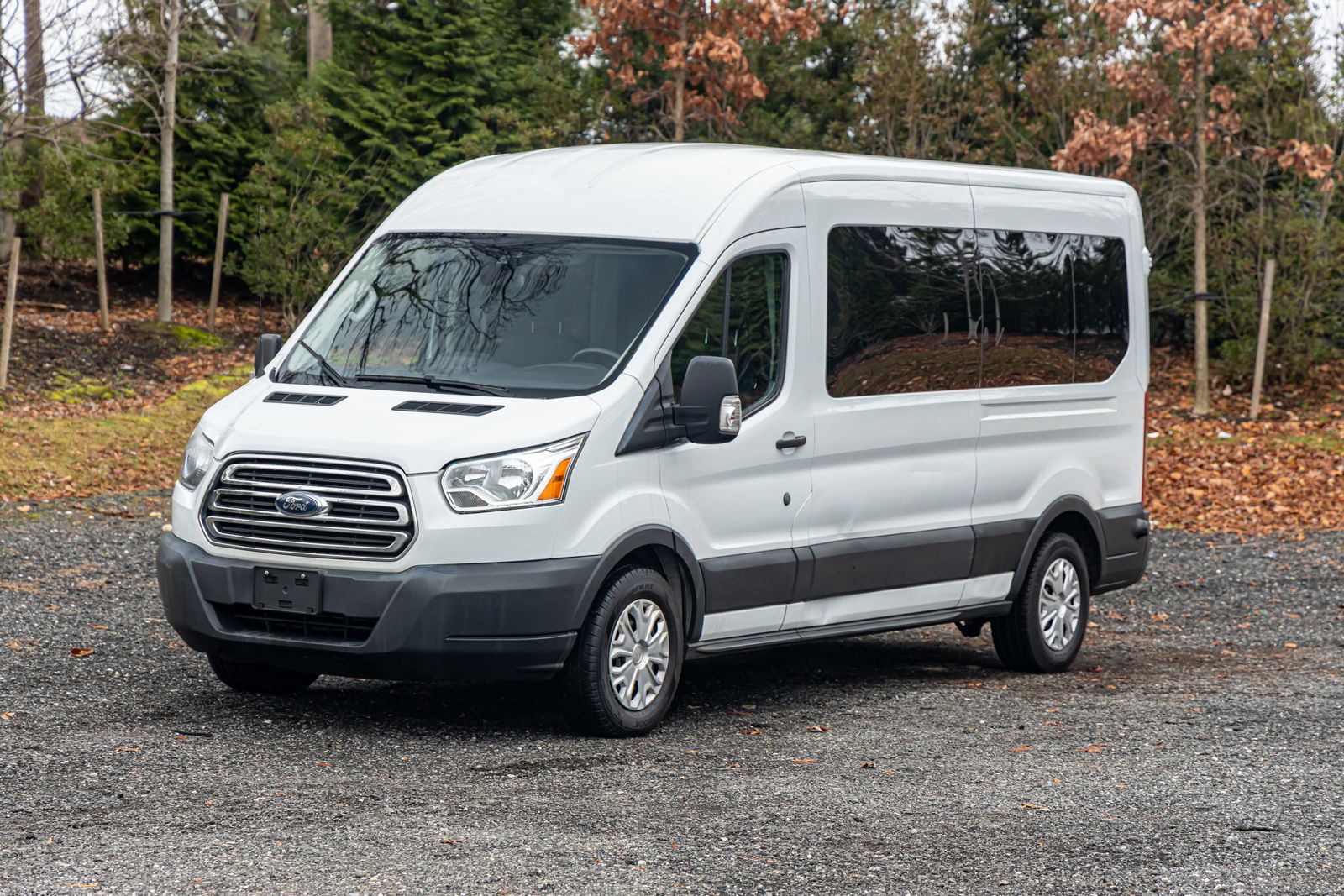 2018 Ford Transit Wagon XLT's photo
