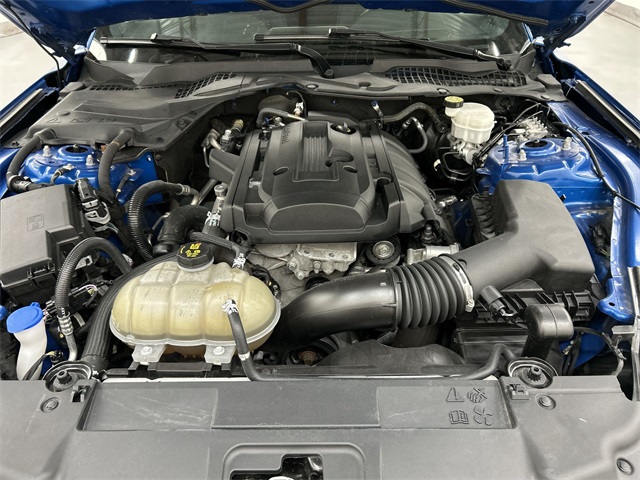 2020 Ford Mustang EcoBoost photo 6