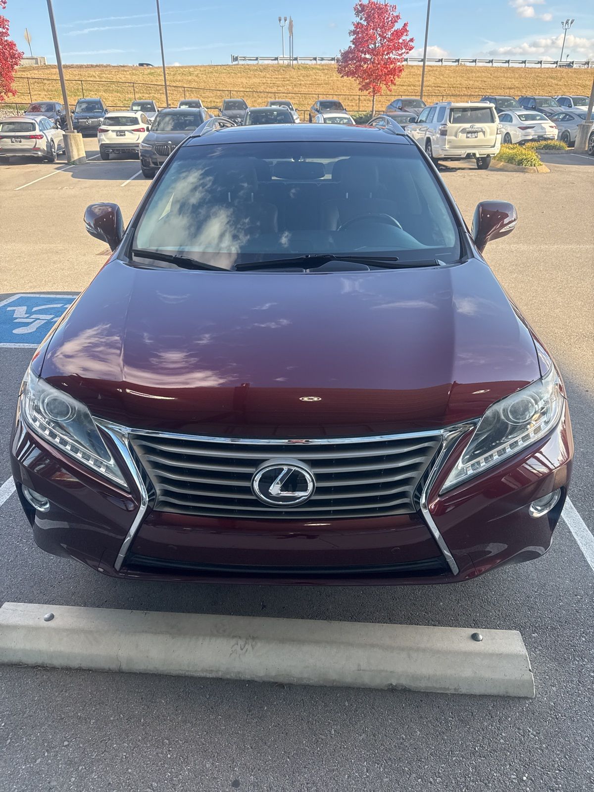 2014 Lexus RX 350