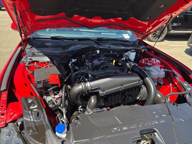 2024 Ford Mustang EcoBoost Premium photo 22