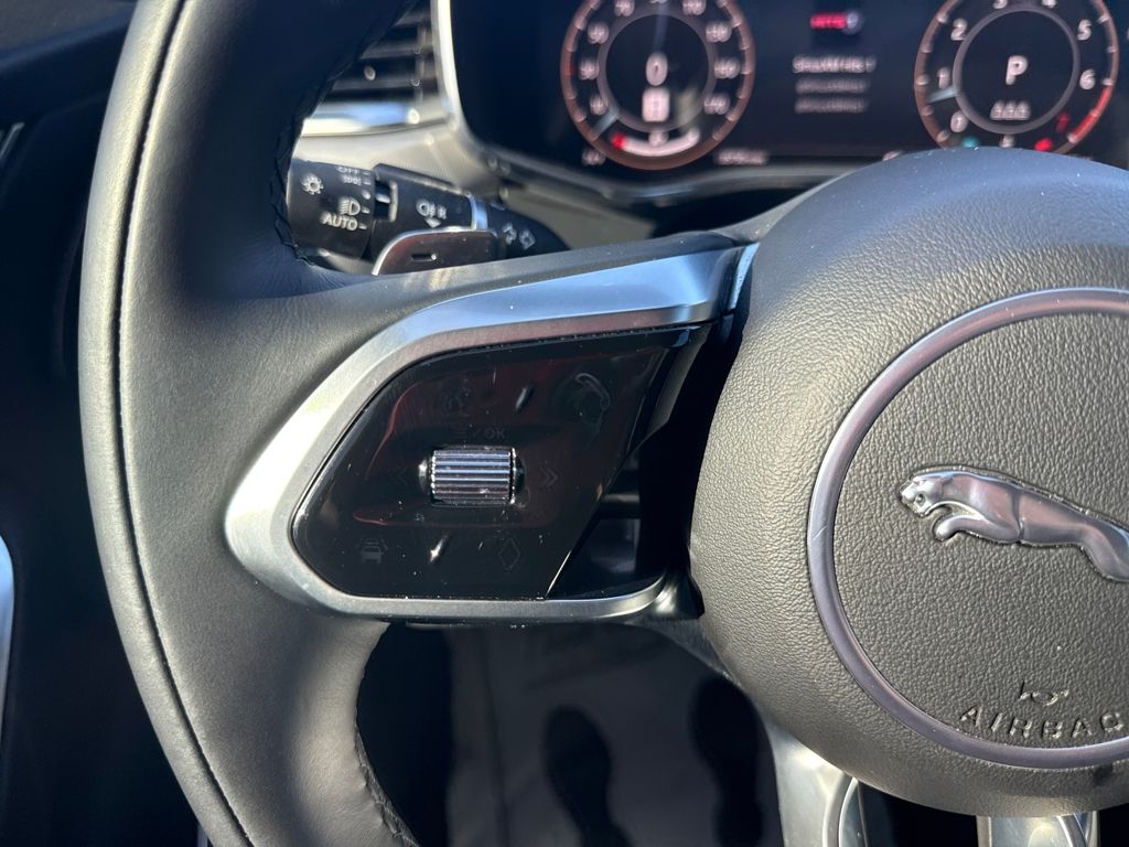 2024 Jaguar F-PACE P250 R-Dynamic S photo 20