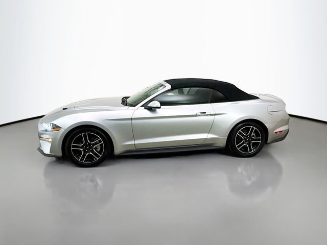 2020 Ford Mustang EcoBoost Premium photo 4