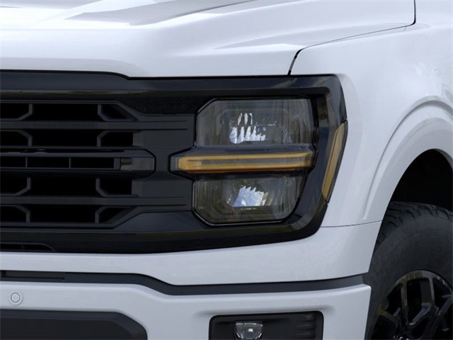 2025 Ford F-150 XLT photo 16