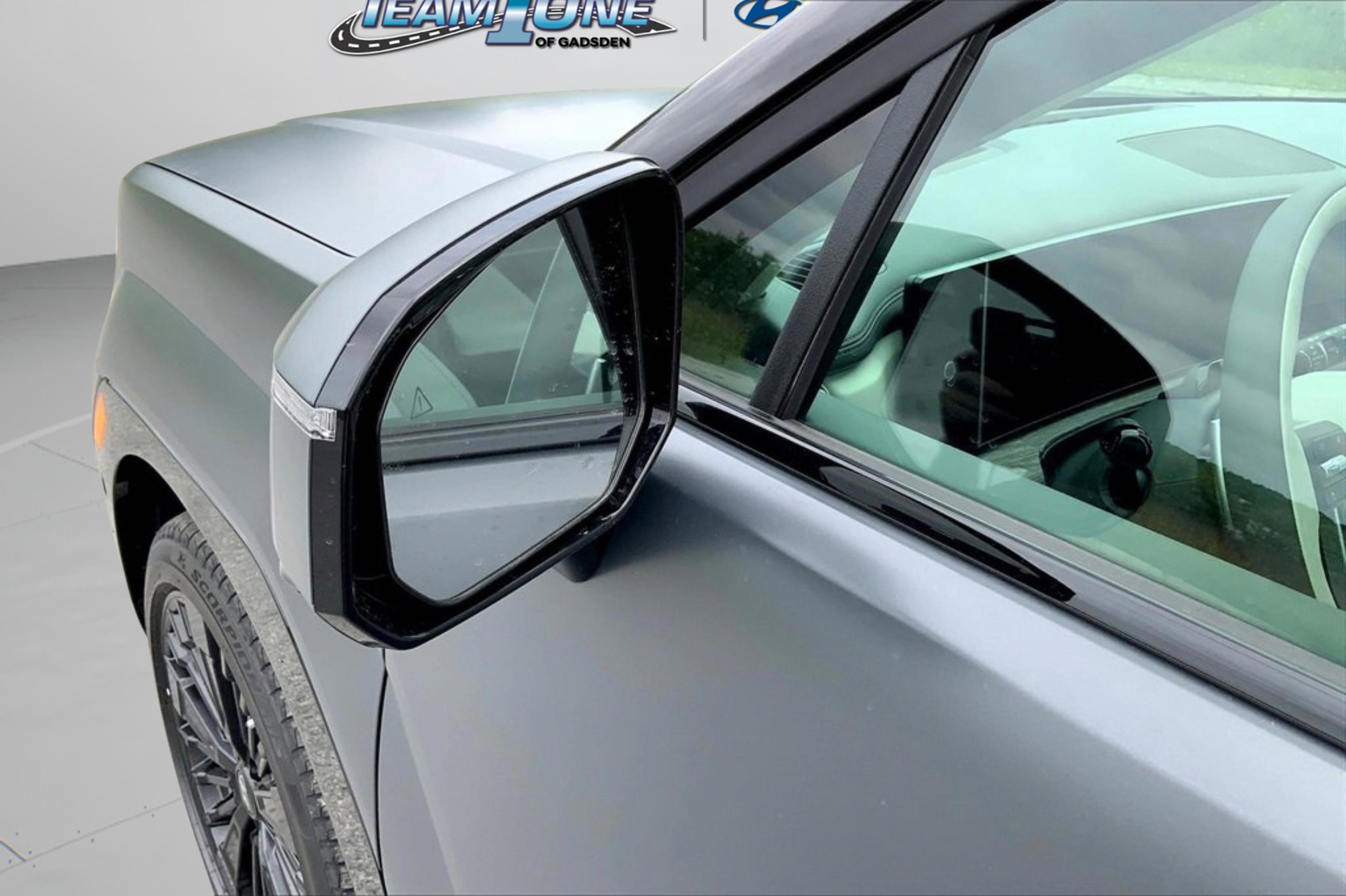 2025 Hyundai Santa Fe Hybrid Calligraphy photo 2