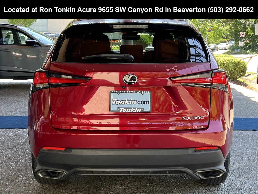 2018 Lexus NX 300 Luxury photo 6