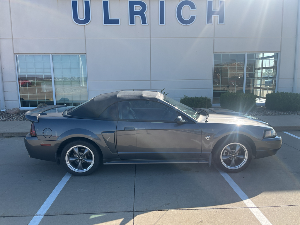 2004 Ford Mustang GT photo 8