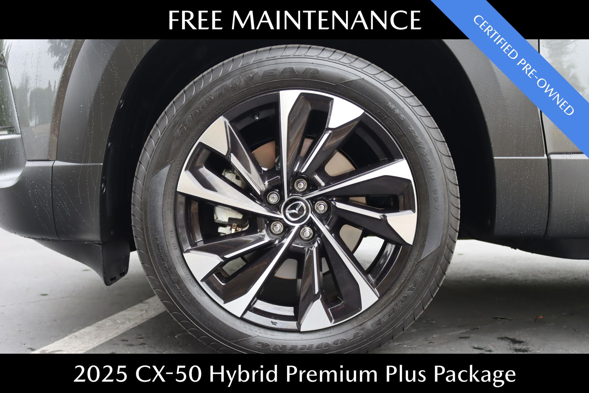 2025 Mazda CX-50 Premium Plus photo 5