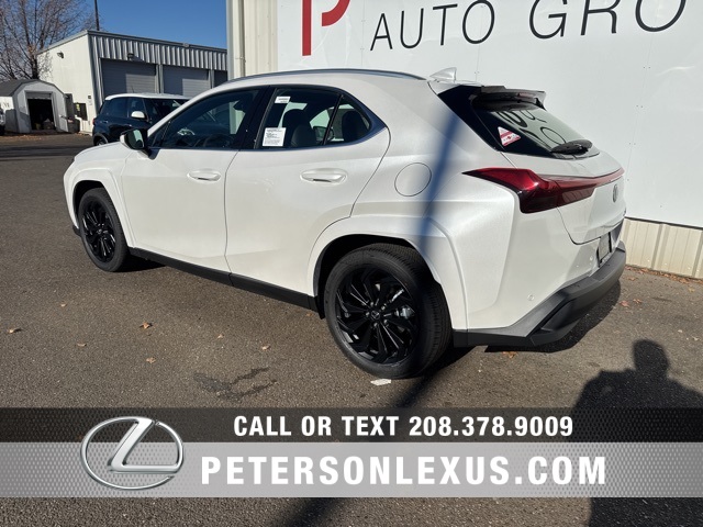 2025 Lexus UX Premium photo 3