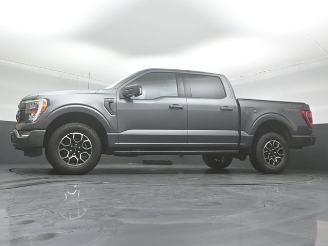 2023 FORD F-150 - Image 41