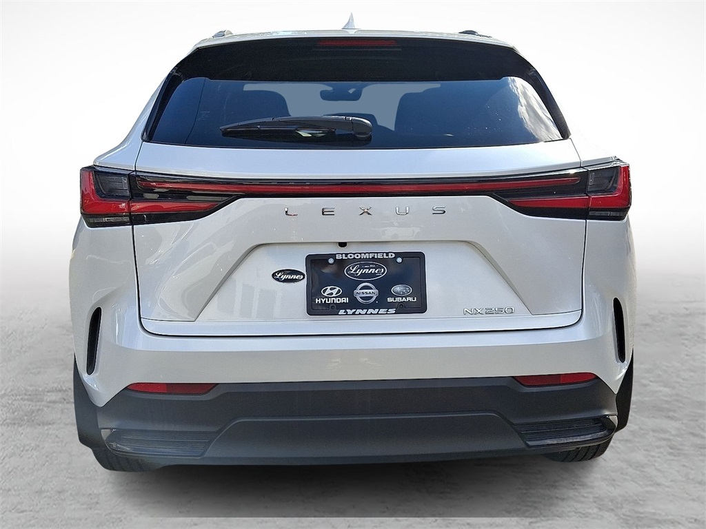 2024 Lexus NX 250 photo 9