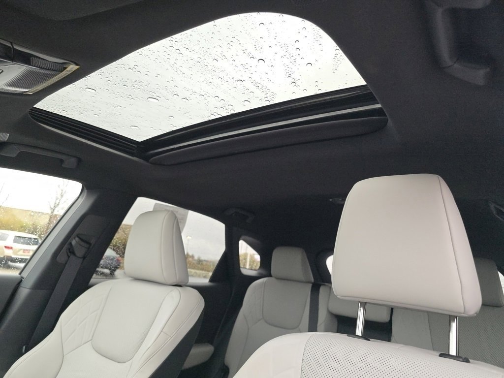2025 Lexus RX 350 Premium photo 3