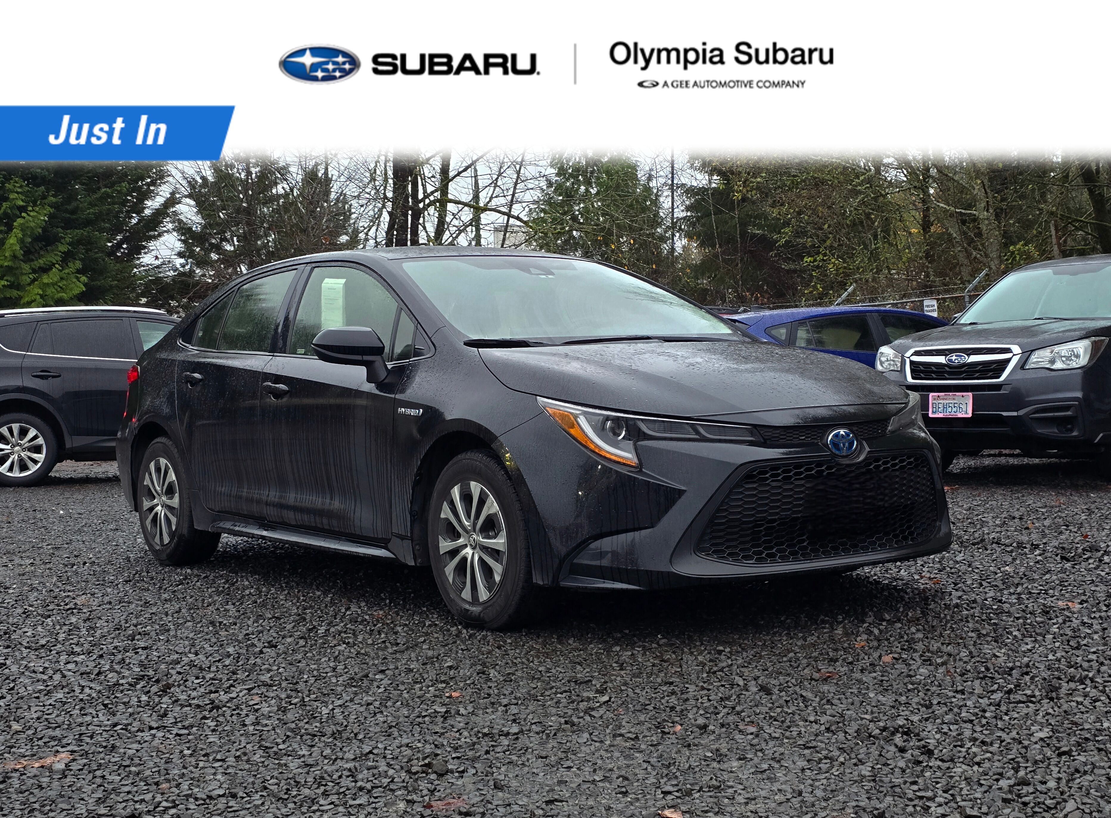 2021 Toyota Corolla LE's photo