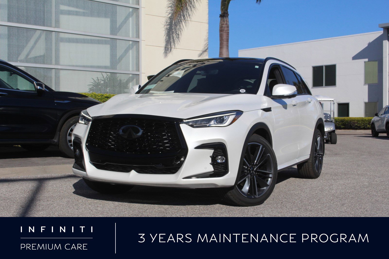 2025 INFINITI QX50 Sport's photo