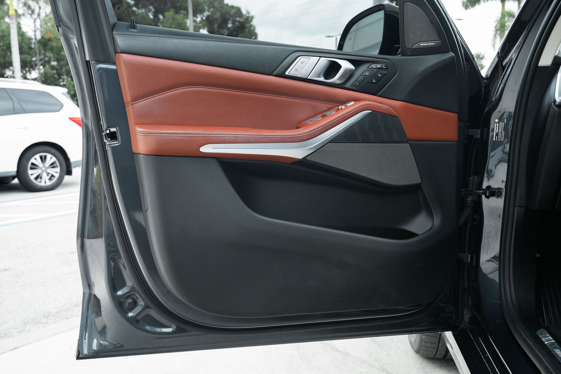 2019 Bmw X7 xDrive50i photo 29