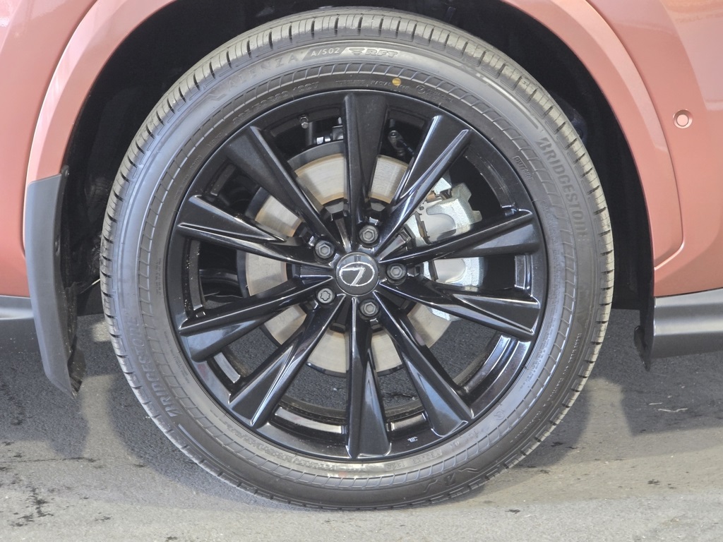 2025 Lexus NX 450h+ F SPORT photo 4