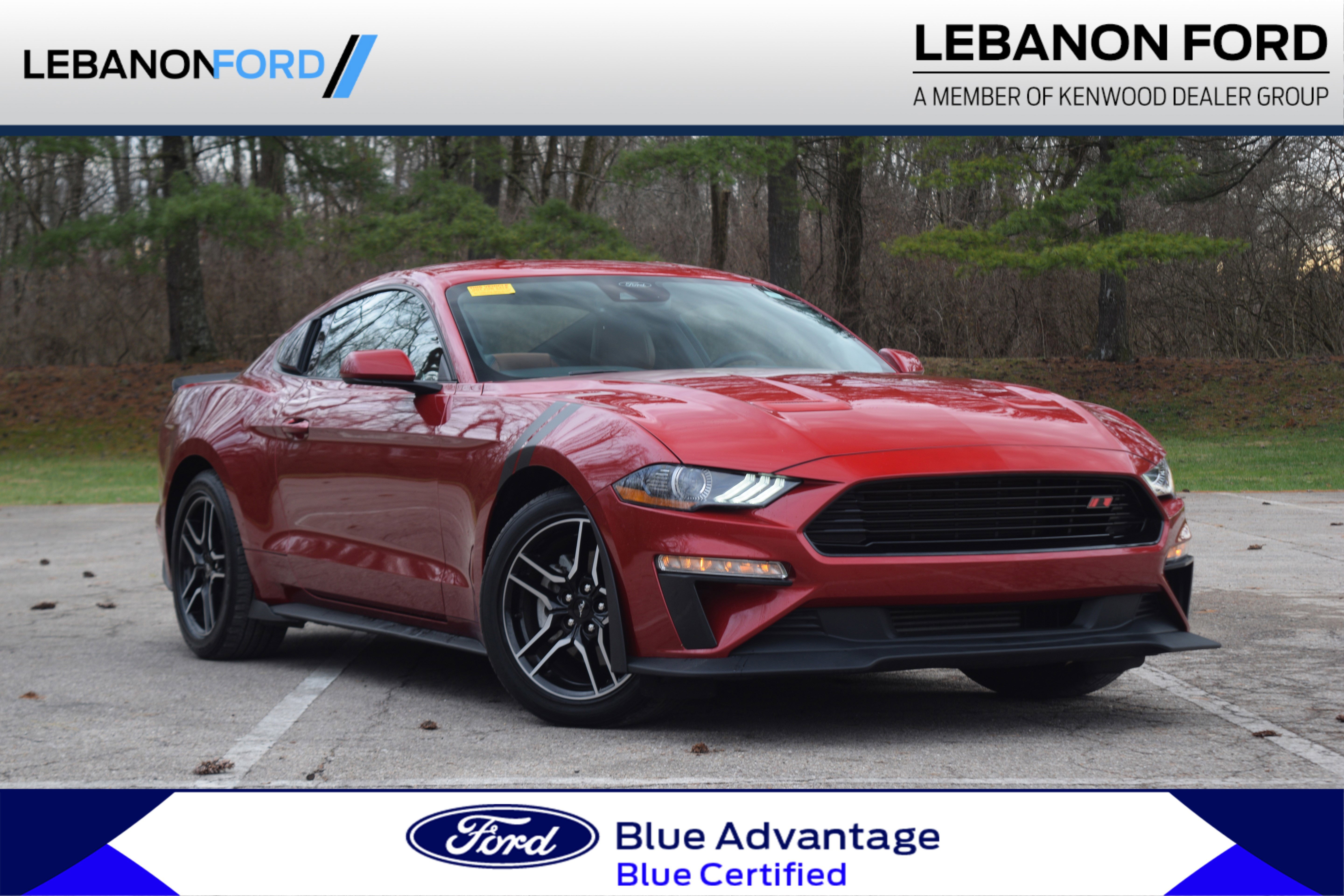 2022 Ford Mustang EcoBoost's photo