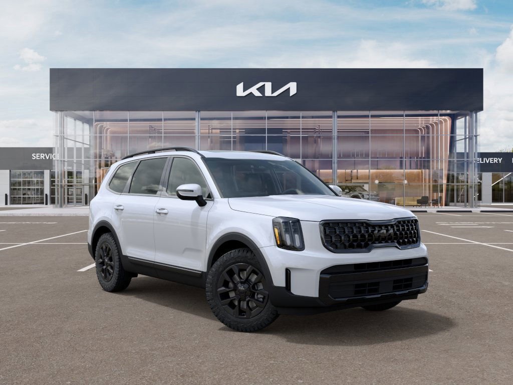 2025 Kia Telluride EX photo 6