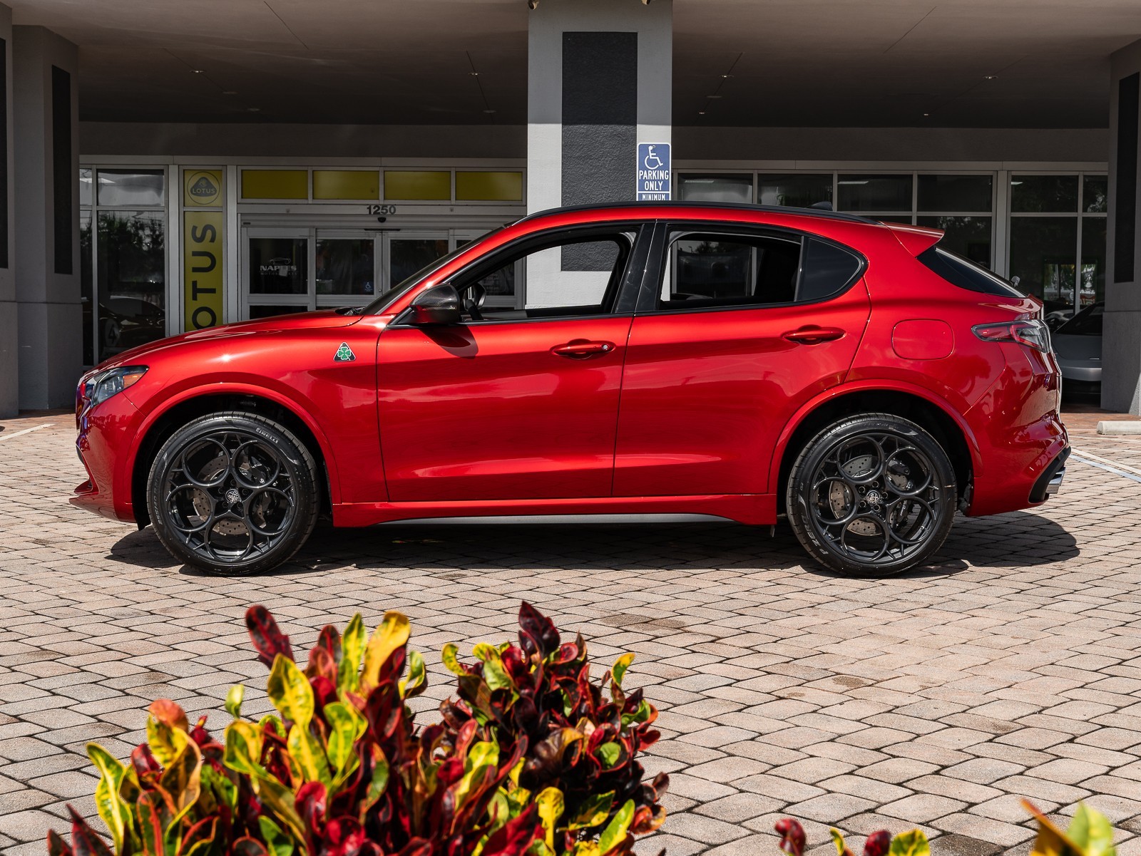 2024 Alfa Romeo Stelvio Quadrifoglio photo 6