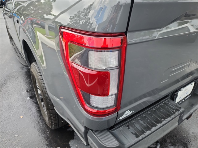 2021 Ford F-150 Tremor photo 6