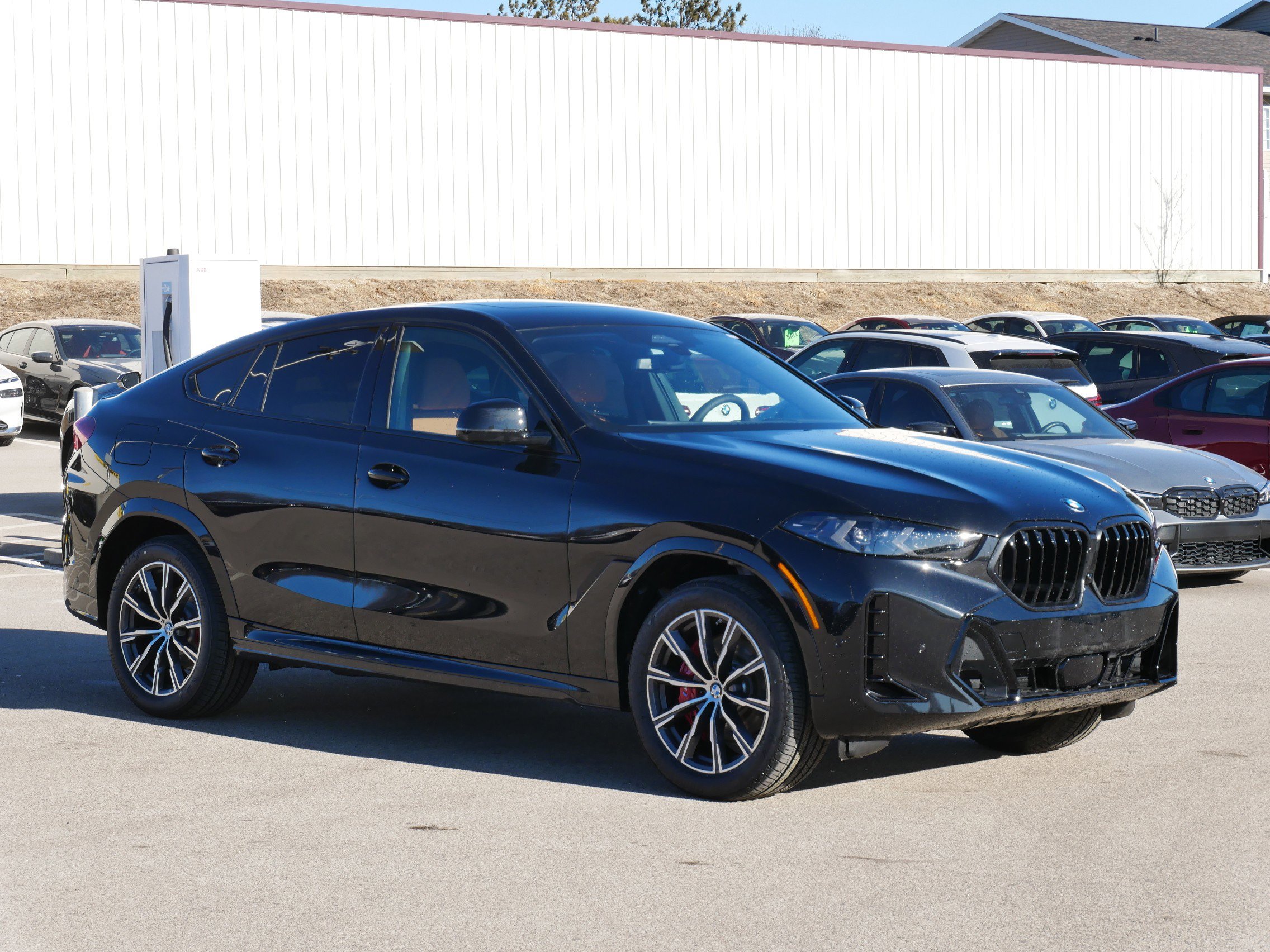 2026 BMW X6 Base's photo