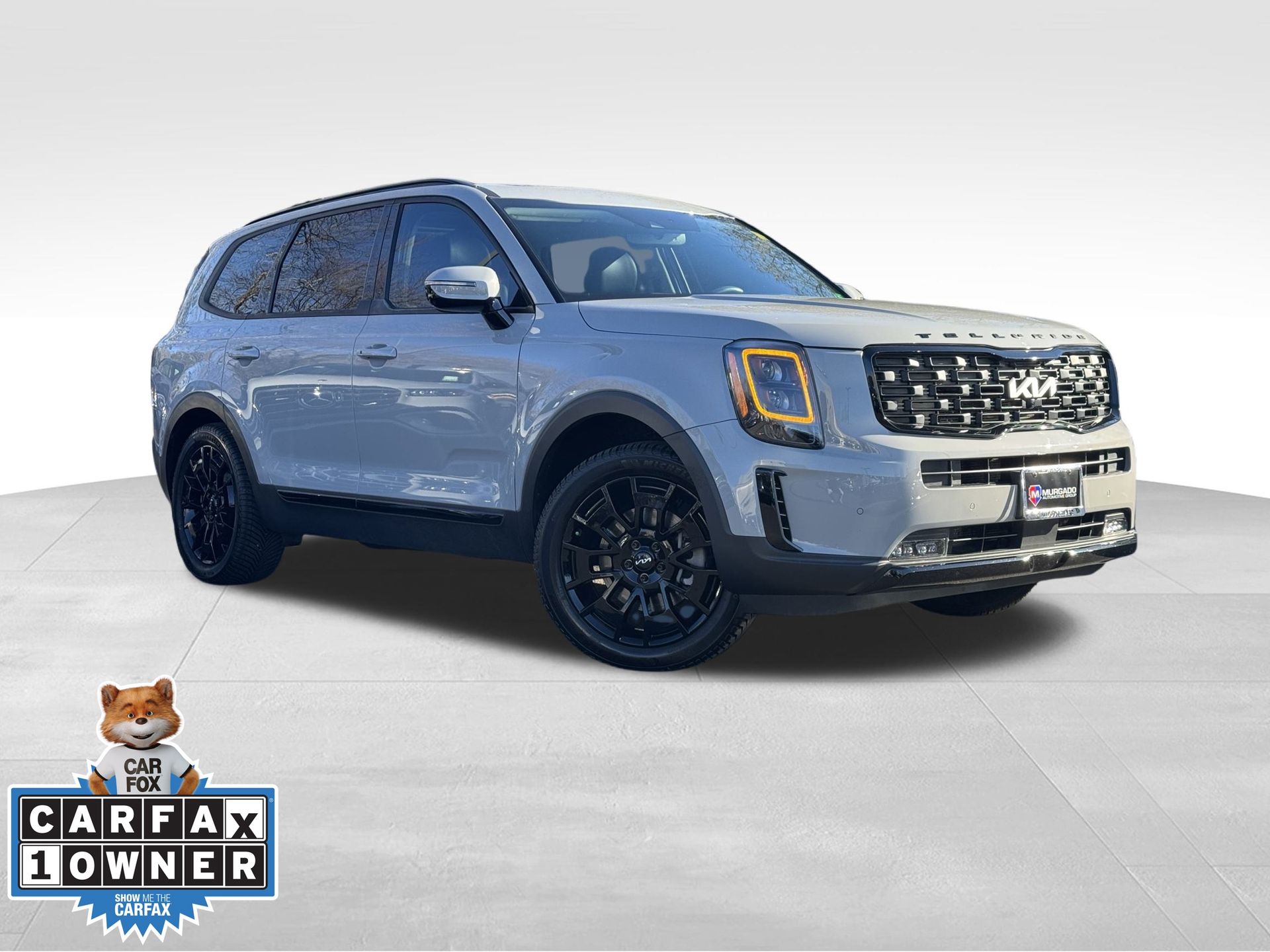 2022 Kia Telluride SX's photo