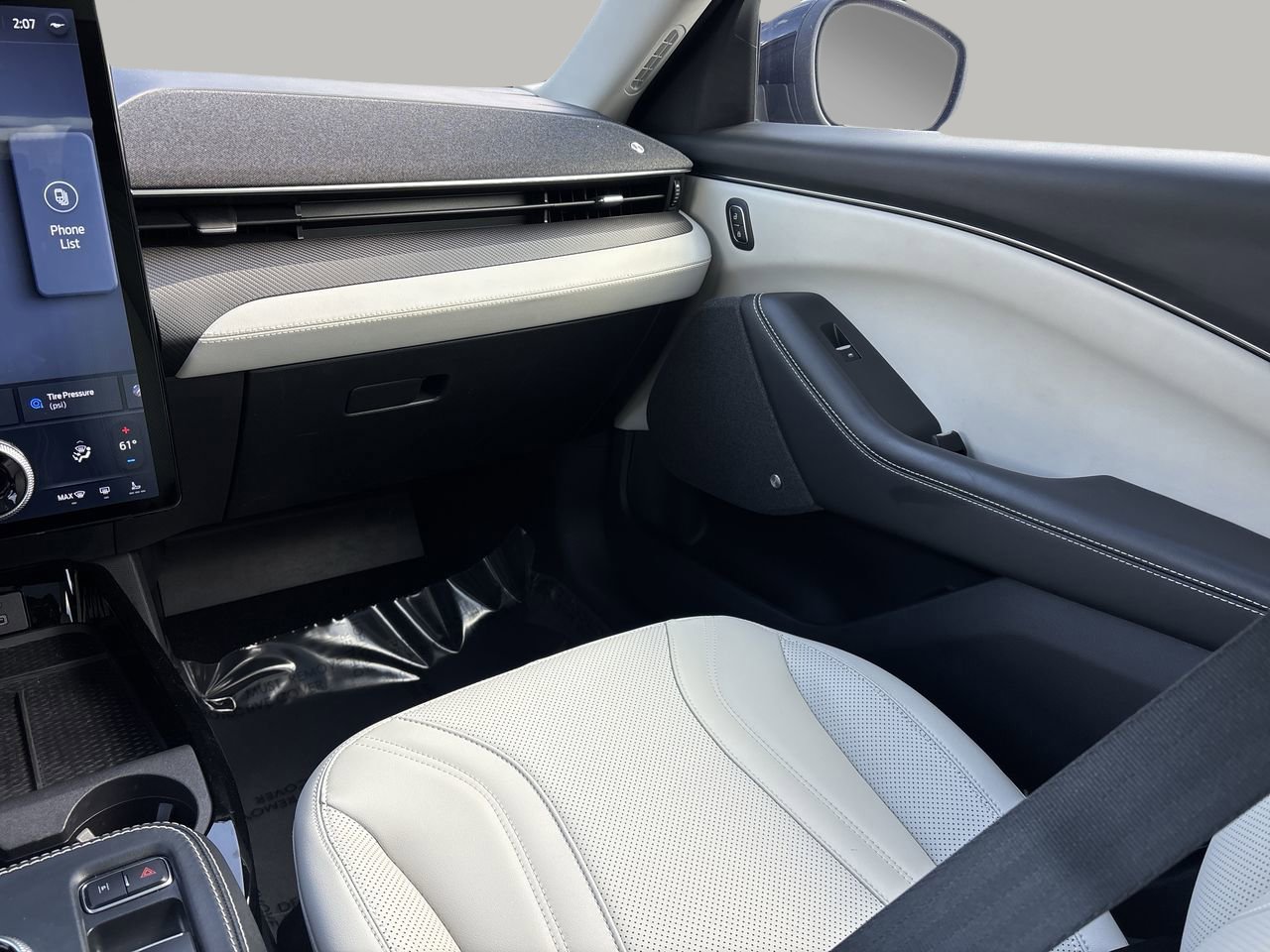 2021 Ford Mustang Mach-E Premium photo 11