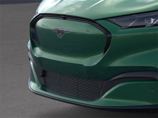 2025 Ford Mustang Mach-E Premium photo 16