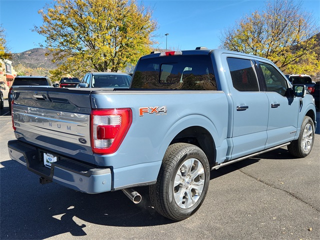 2023 Ford F-150 Platinum photo 3