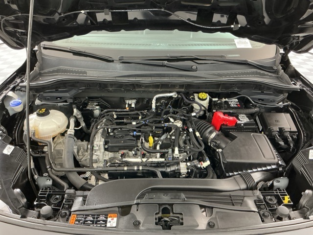 View 32