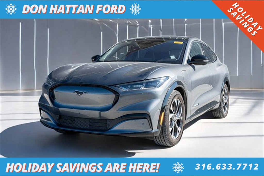 2021 Ford Mustang Mach-E Premium RWD's photo