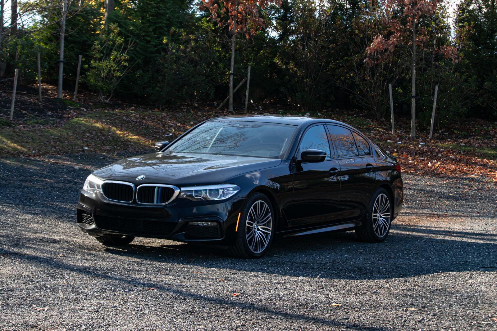 2019 BMW 5 Series 530i