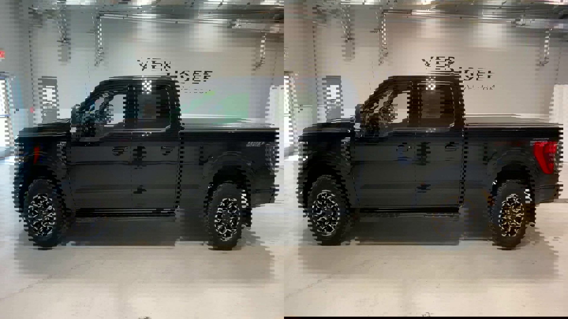 2021 Ford F-150 XL photo 5
