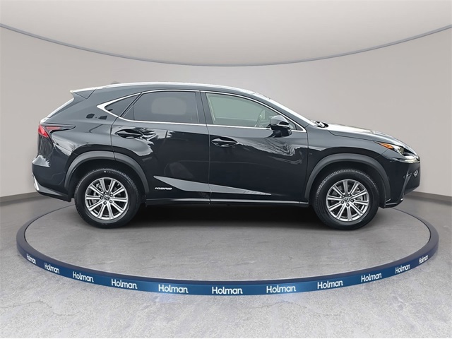 2019 Lexus NX 300h Luxury photo 4