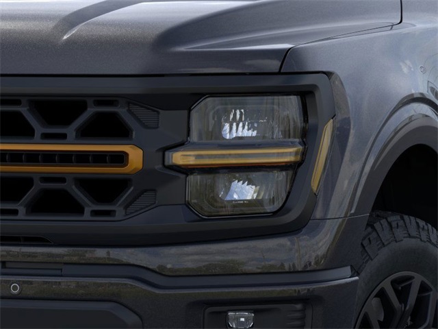2025 Ford F-150 Tremor photo 14