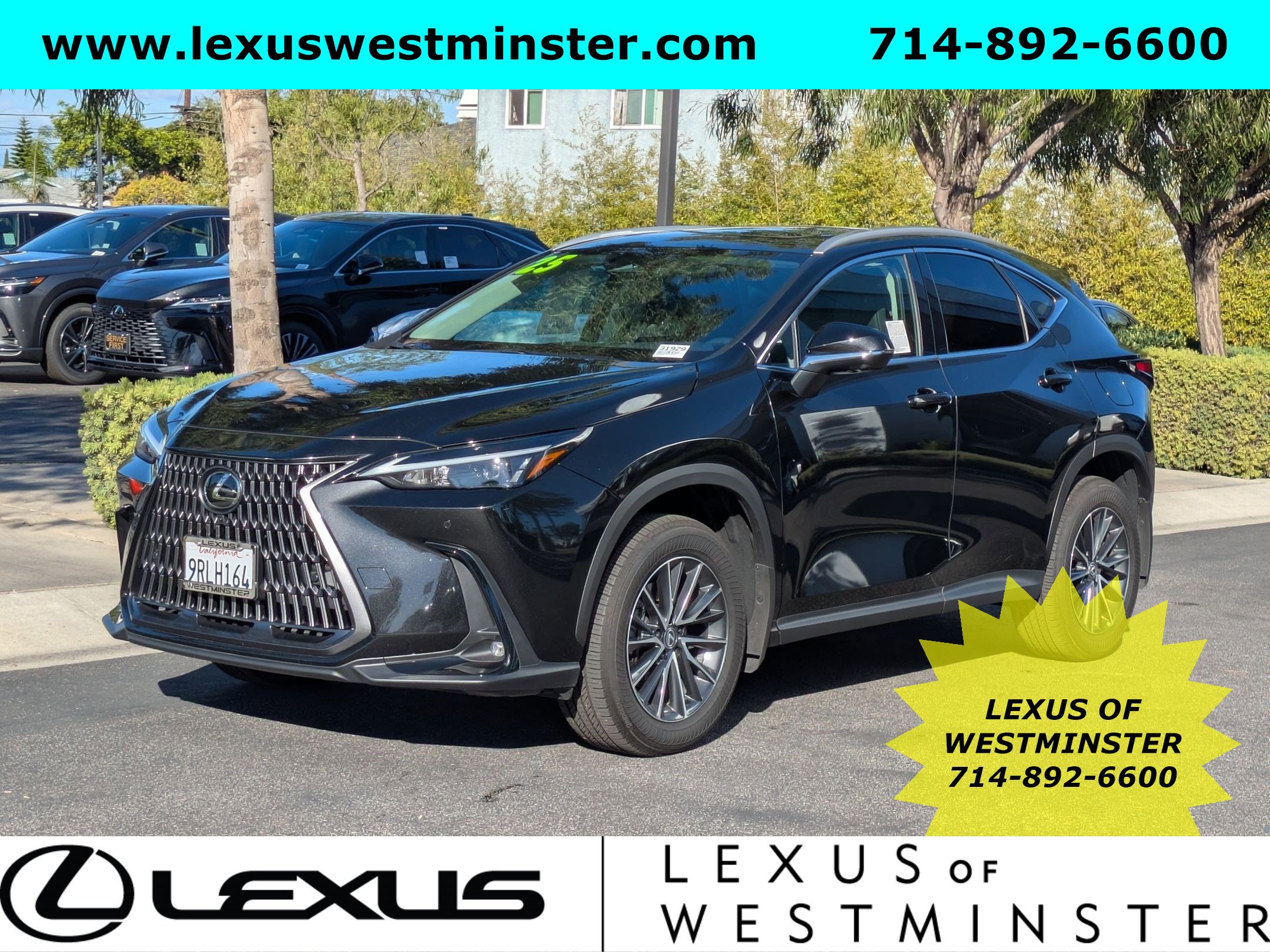 2025 Lexus NX Hybrid 350h's photo